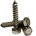 CSH Hex Lag Bolt 1/4-20 x 2-1/2"