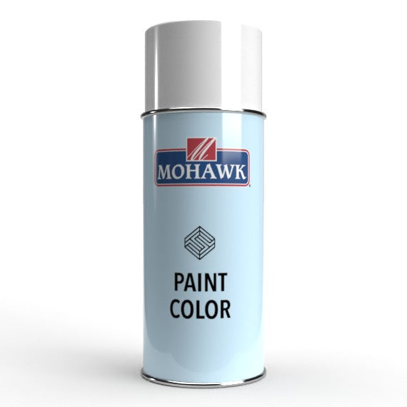 Paint Spray Can - Echo by Fabuwood