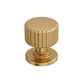Amerock Ballard Knob  Champagne Bronze 1-1/8" Diameter