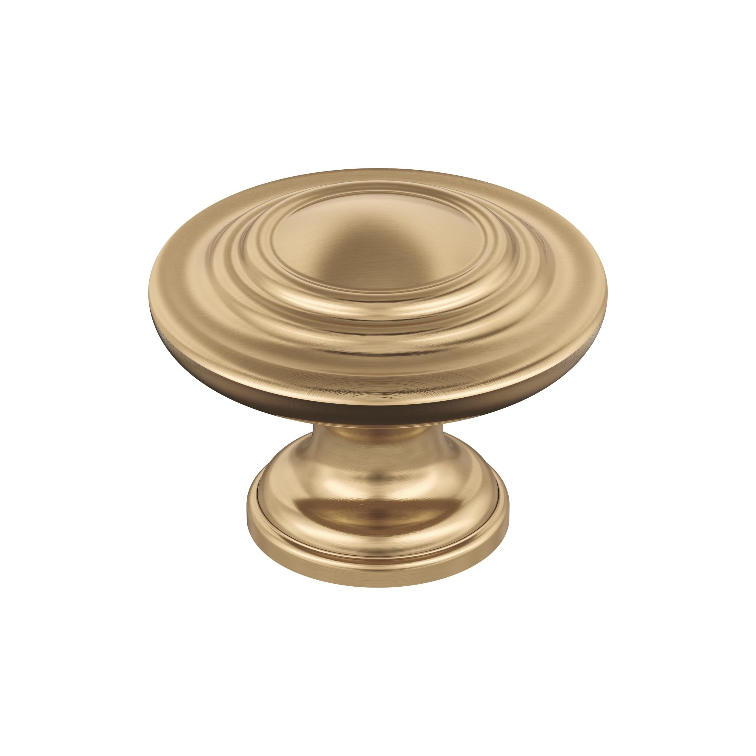 Amerock Inspirations Knob