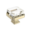 Amerock Glacio Premium Square Knob  Clear/Golden Champagne