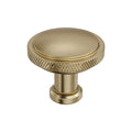 Amerock Faraday Knob  Golden Champagne 1-1/4" Diameter