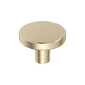 Amerock Versa Knob 1-3/8" Diameter, Golden Champagne