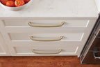 Amerock Revitalize Pull Golden Champagne 10-1/16" Center to Center