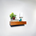 Hide-A-Shelf