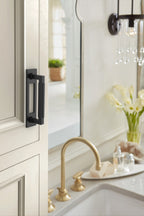 Amerock Medora Backplate 3-3/4" Center To Center, Matte Black