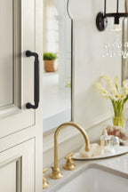 Amerock Cowrie Pull 5-1/16" Center To Center, Matte Black