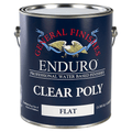 Clear Poly Enduro Clear Poly, Flat, Gallon