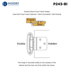 Hickory Hardware Surface Mount Self Closing Hinge 2-5/8 in. x 2-3/8 in., Black Iron, view 4