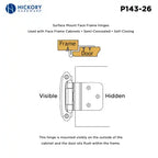Hickory Hardware Surface Mount Self-Closing Hinge 2-3/4" x 2-5/16"