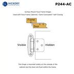 Hickory Hardware Surface Mount Self Close Hinge 2-5/8"x 1-15/16"