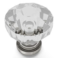 Hickery Hardware CRYSTAL PALACE Knob