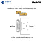 Hickory Hardware Surface Mount Self Closing Hinge 2-5/8" x 2-3/8"