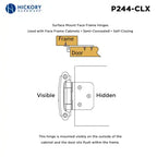 Hickory Hardware Surface Mount Self Closing Hinge 2-5/8" x 1-15/16"