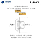 Hickory Hardware Surface Mount Self Closing Hinge 2-5/8" x 1-15/16"