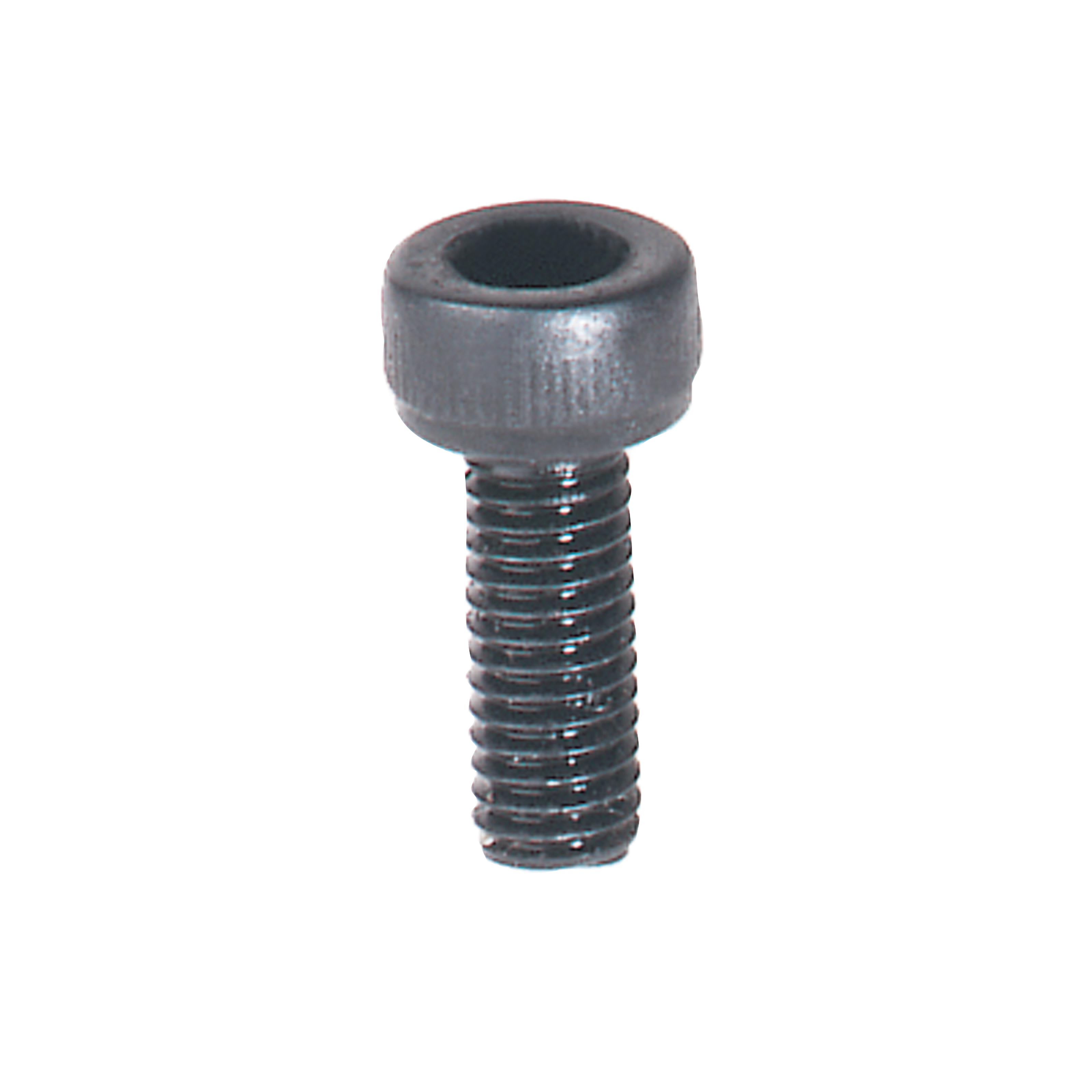Freud Medium Screw